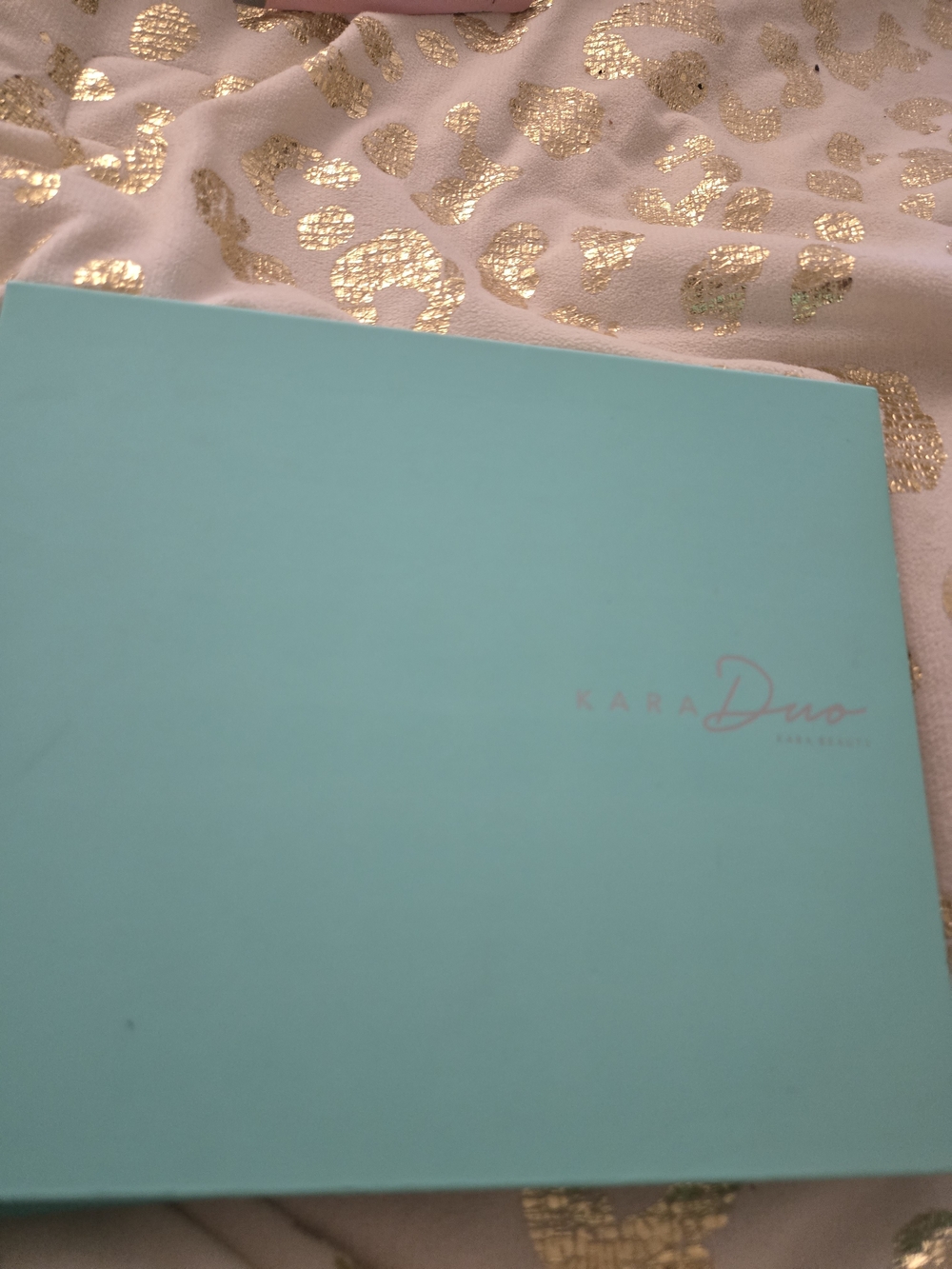 Brand New Kara Duo Eyeshadow Palette - Discontinue Product